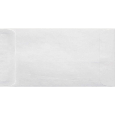 White Paper Envelope 9x4 inch