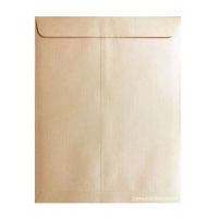 Brown Paper Envelope 10x8 inch | A5