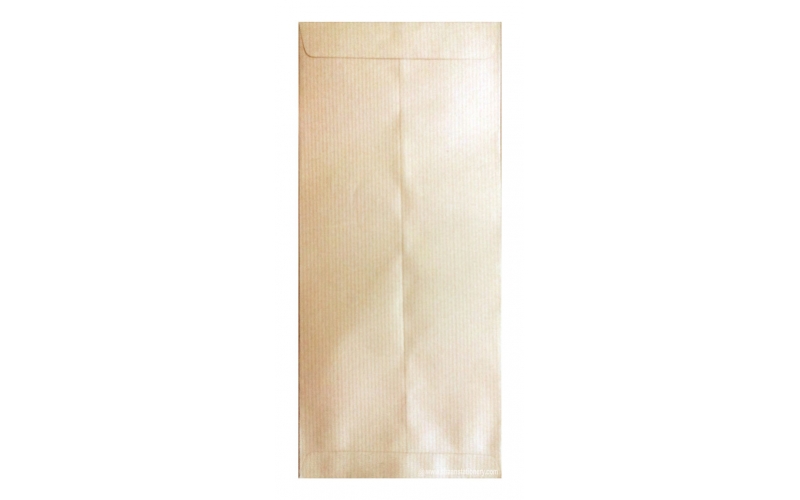 Brown Paper Envelope 11x5 inch