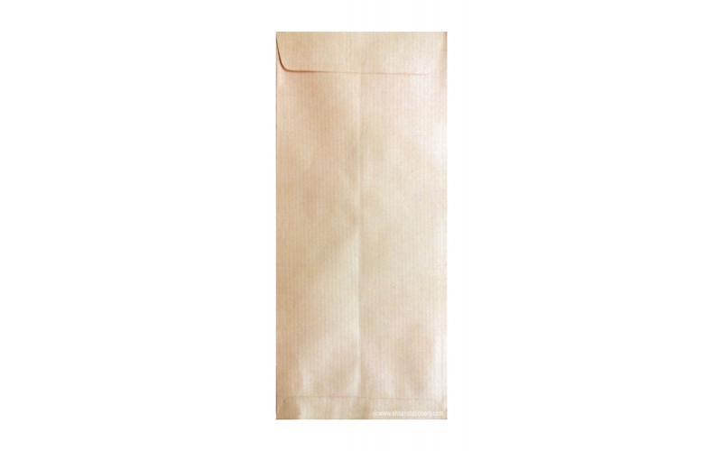 Brown Paper Envelope 9x4 inch