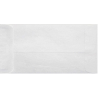 White Paper Envelope 11x5 inch